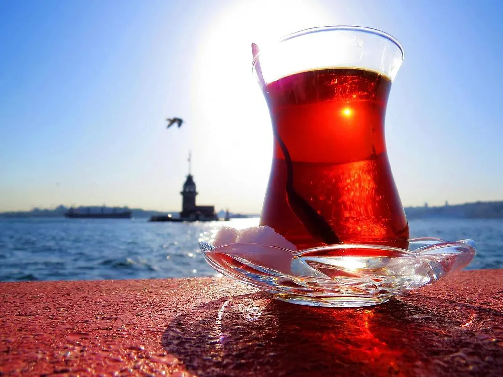 Erenler Hotel & Hostel Turkiet